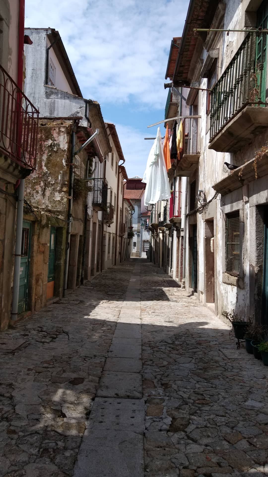 Marcia Gonçalves - Viana do Castelo - Limpeza de Persianas