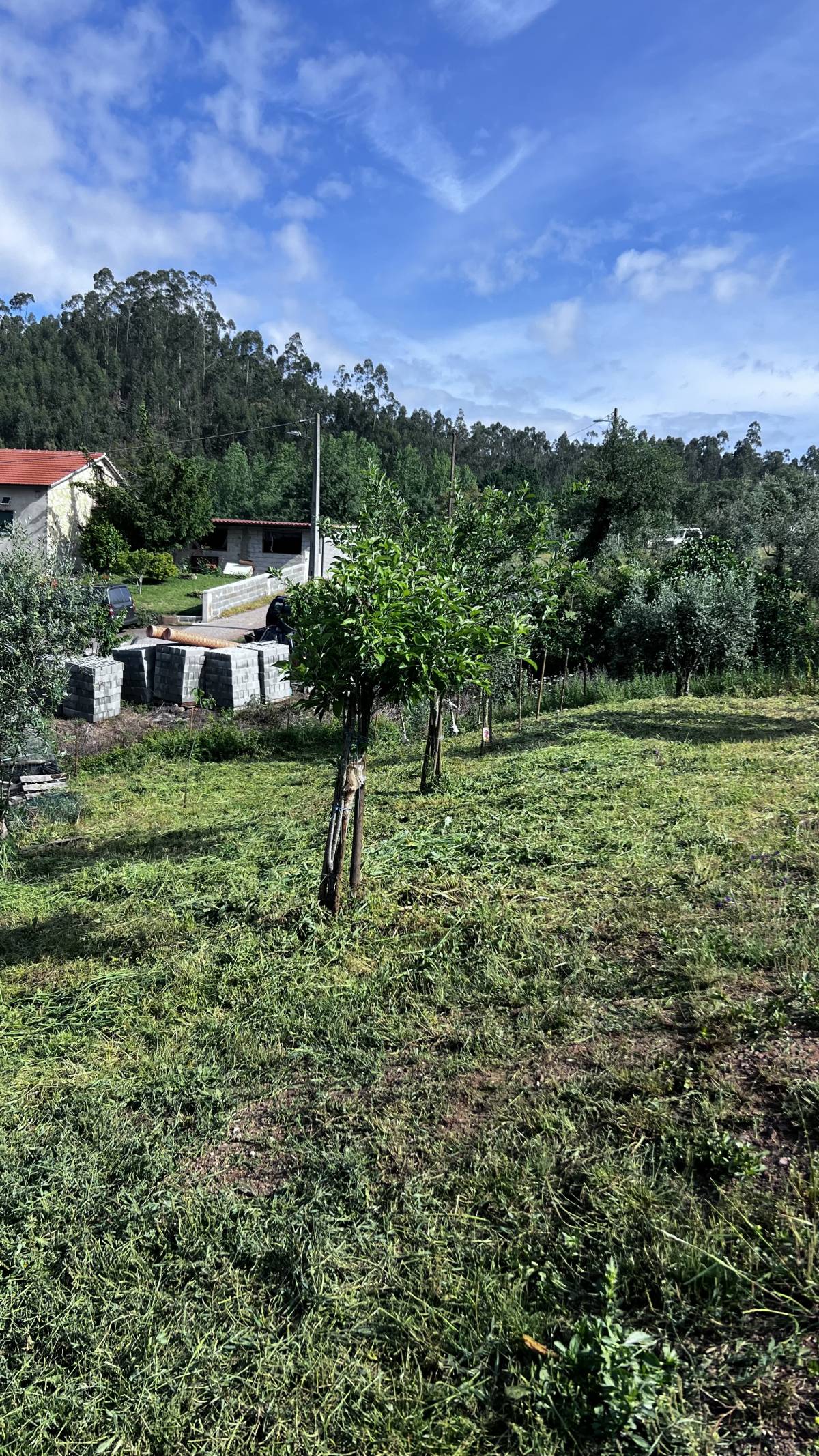 GW serviços técnicos - Alvaiázere - Limpeza de Espaço Comercial