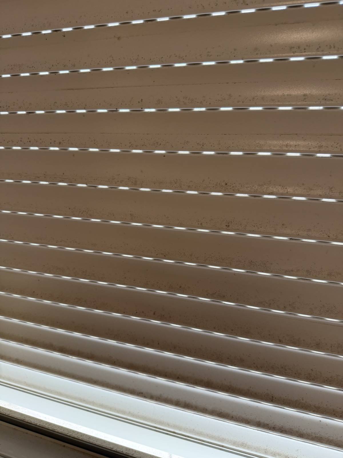 Junia clean - Lisboa - Textilreinigung