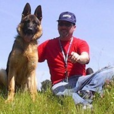 Petsitting Cascais/Oeiras - Serviços ao Domicilio para Animais de Estimação - Cascais - Hotel para Cães
