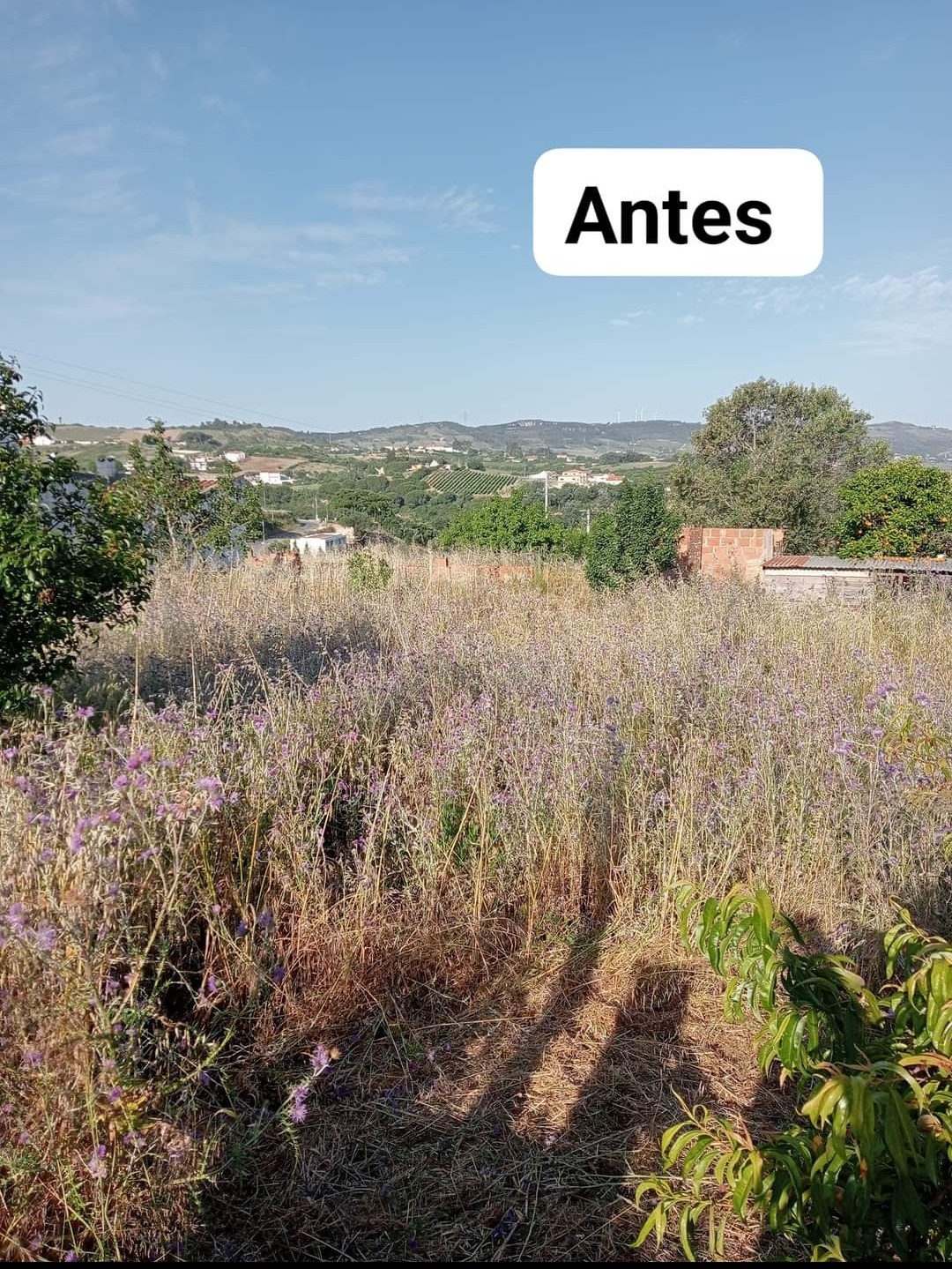 Os Castores - Arruda dos Vinhos - Lawn Mowing and Trimming