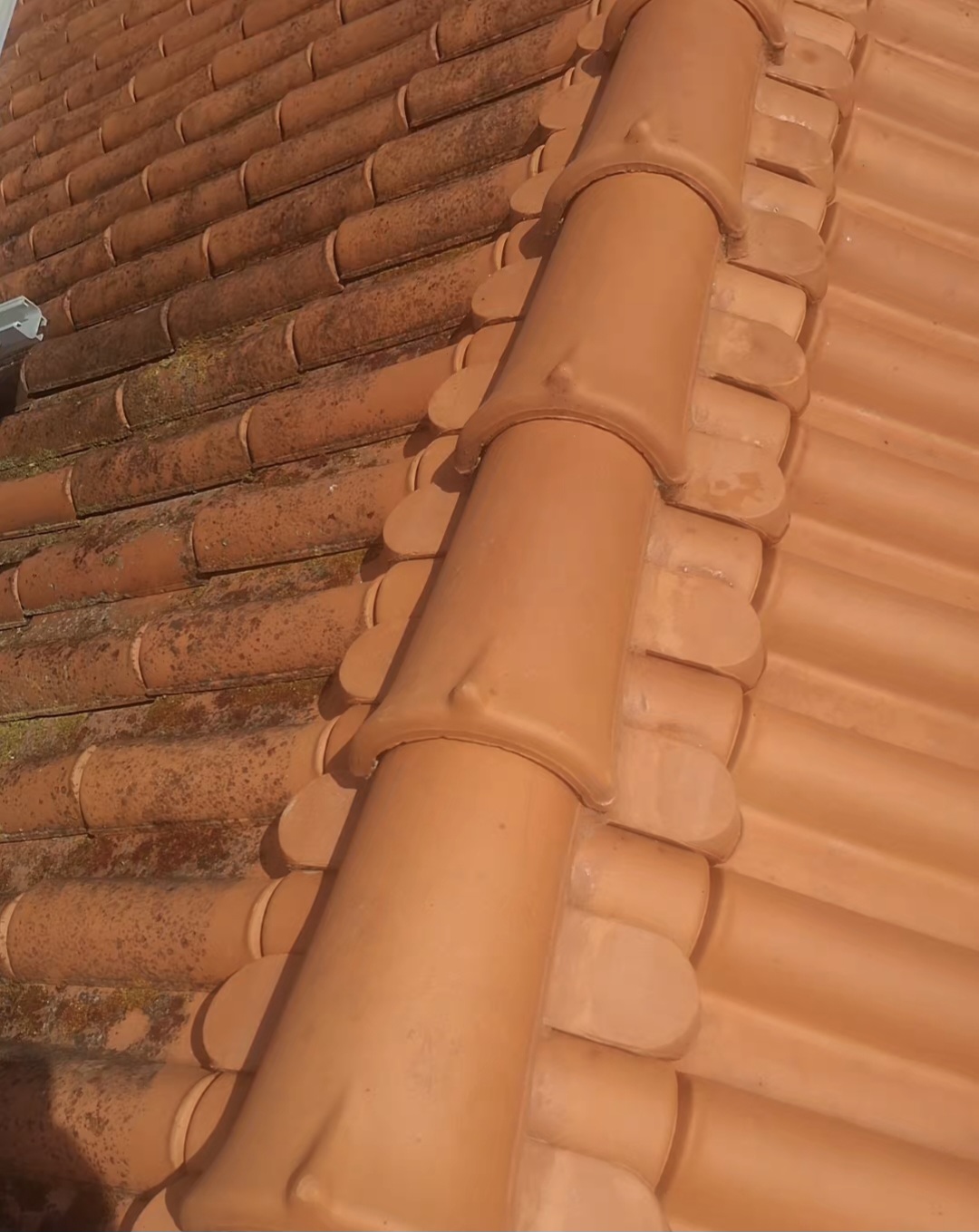 NovaCor - Sobral de Monte Agraço - Construção de Teto Falso