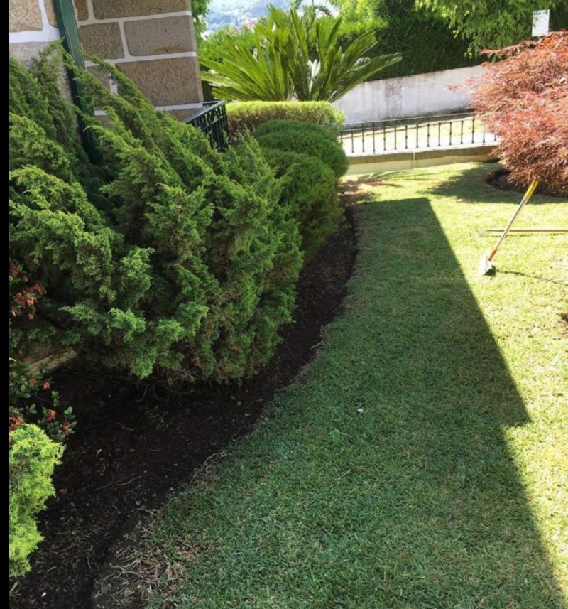Verde Puro - Jardinagem / Manutenções de Jardins - Matosinhos - Remoção de Arbustos