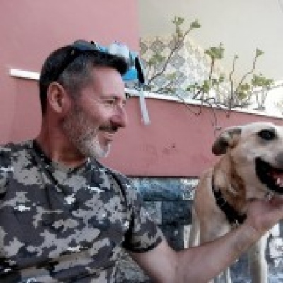 Petsitting Cascais/Oeiras - Serviços ao Domicilio para Animais de Estimação - Cascais - Creche para Cães