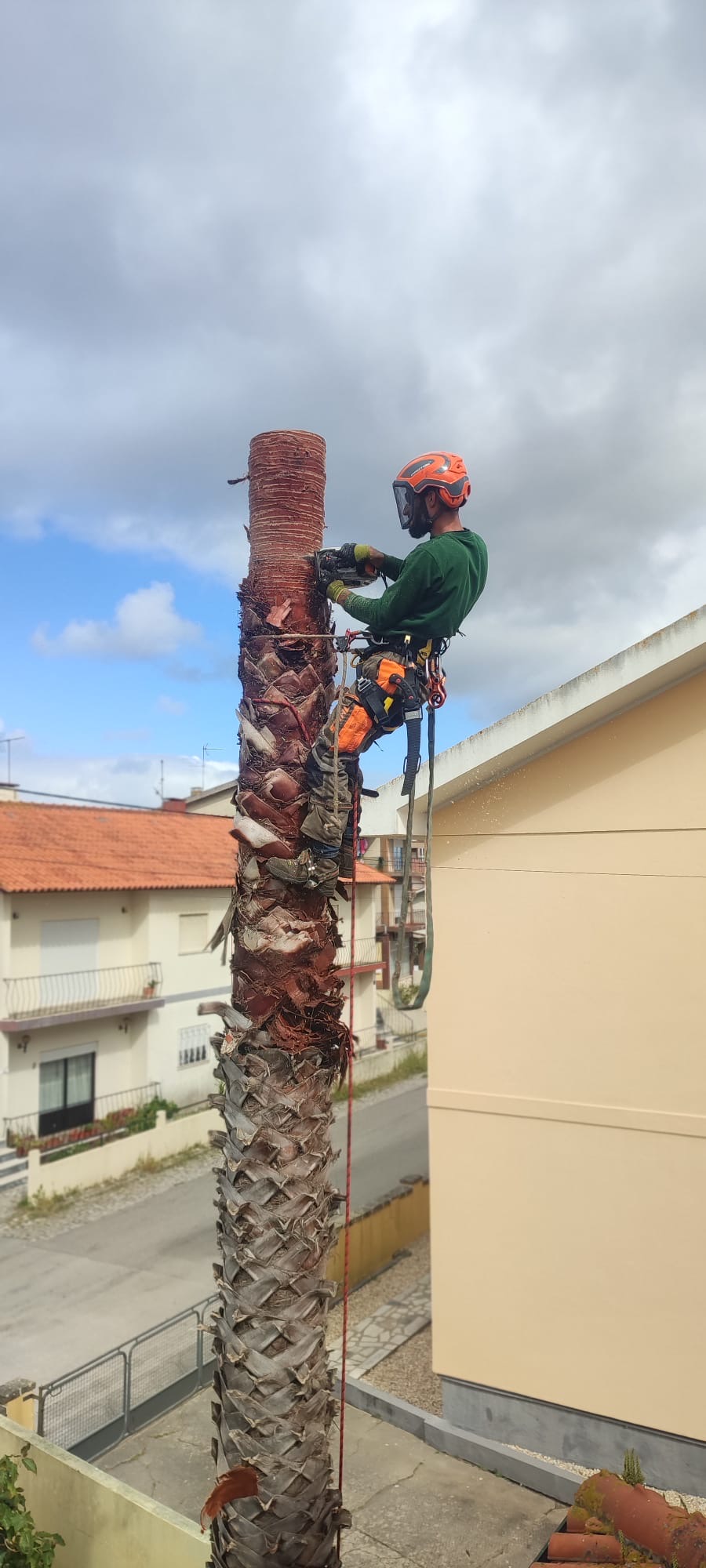 Luís Emanuel Vieira unipessoal Lda - Alcobaça - Tree Stump Grinding and Removal