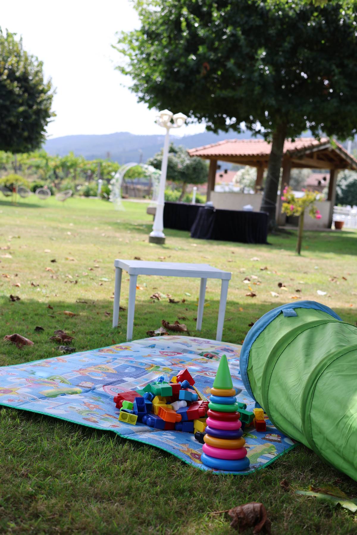 MS Animações – Festas Infantis, Casamentos e Eventos - Gondomar - Pintura Corporal