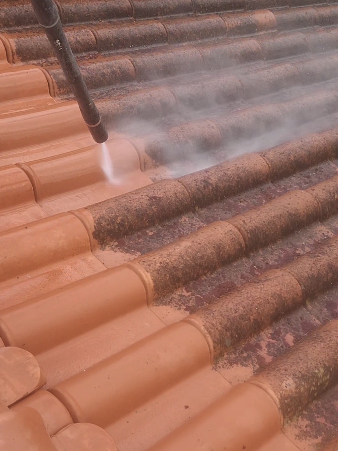 NovaCor - Sobral de Monte Agraço - Pintura de Prédios