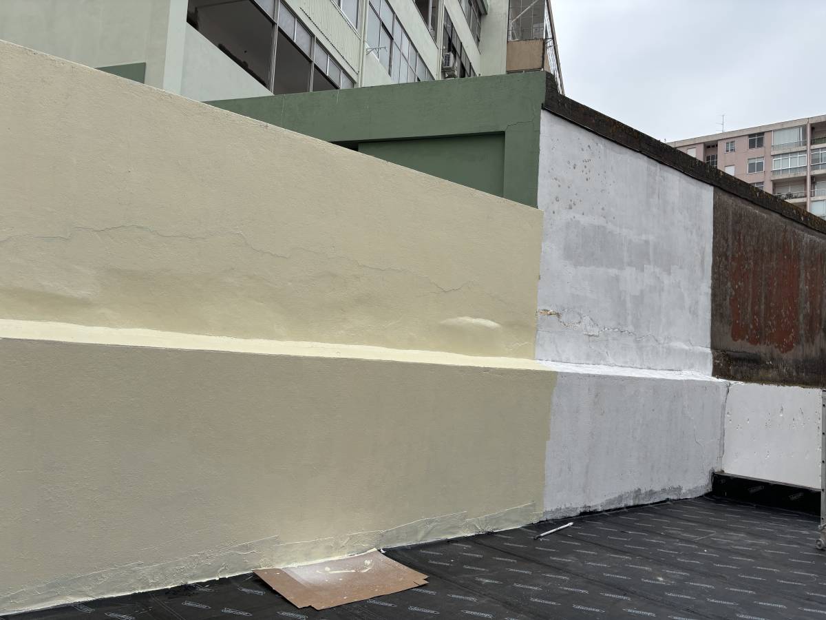 Vidal Fortunato - Matosinhos - Peinture