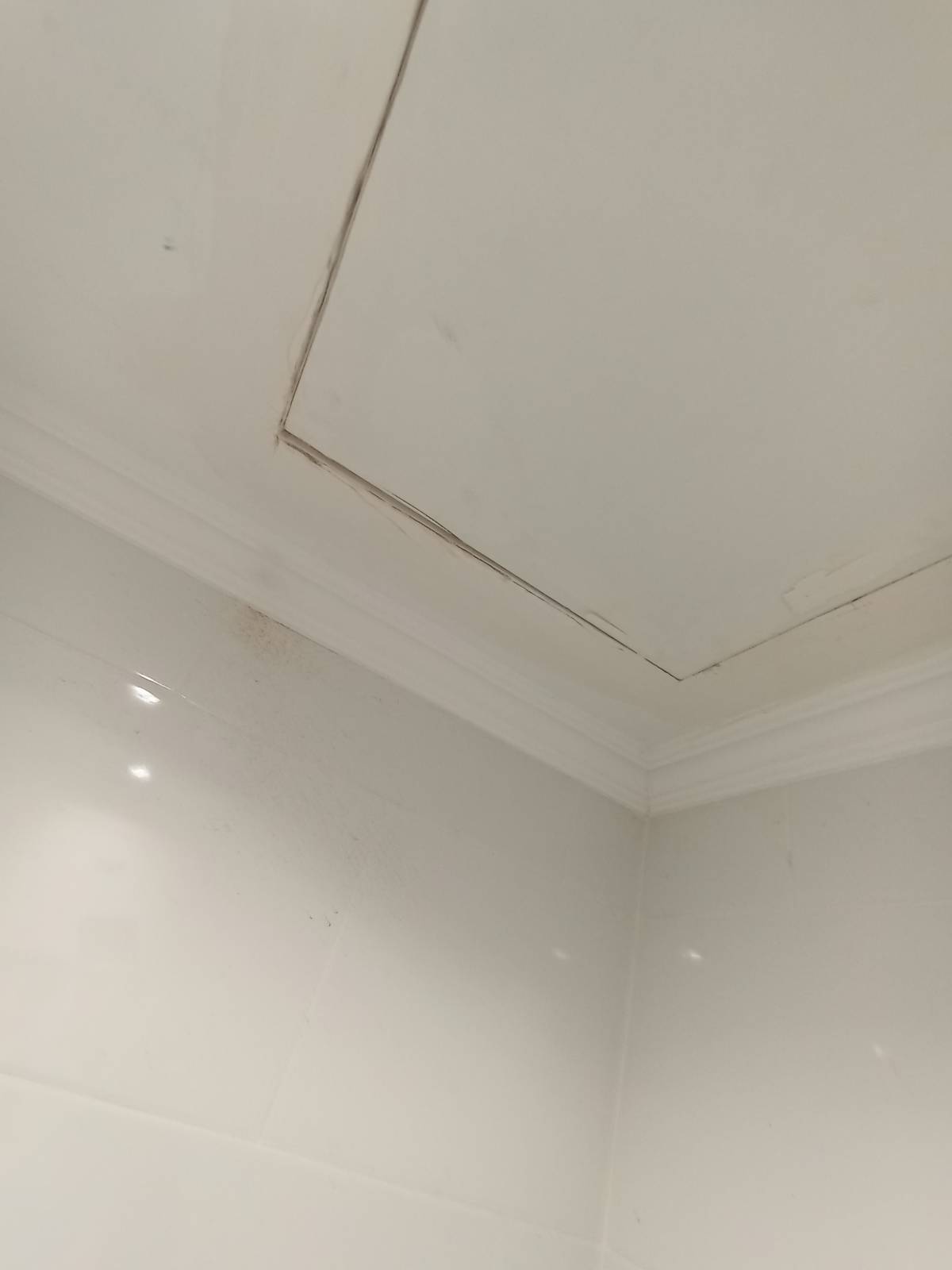 Linhares - Almada - Roofing