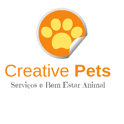 João Antunes - creativepets.pt - Aveiro - Dog Daycare