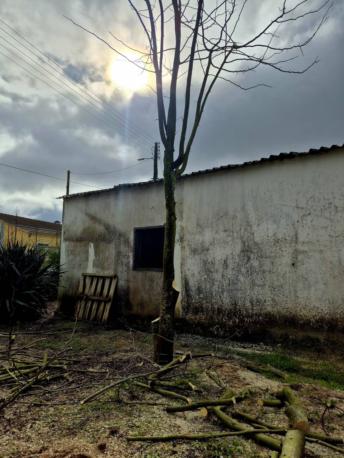 JardimTel - Coruche - Limpieza de primavera
