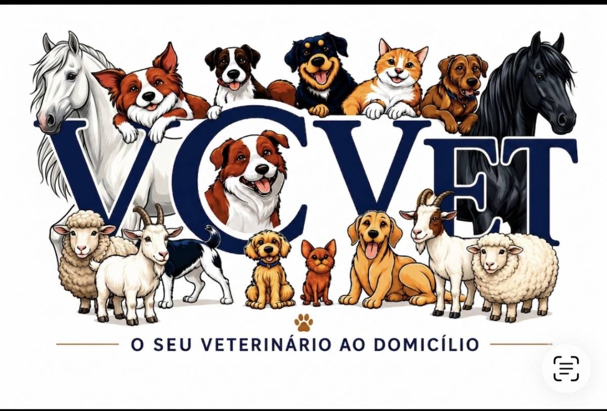 Vc vet - Évora - Tierarzt