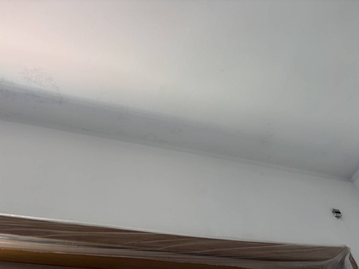 Vidal Fortunato - Matosinhos - Peinture de bâtiments