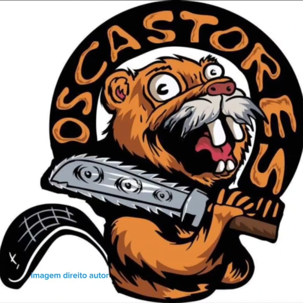 Os Castores - Arruda dos Vinhos - Snow Plowing (Residential)