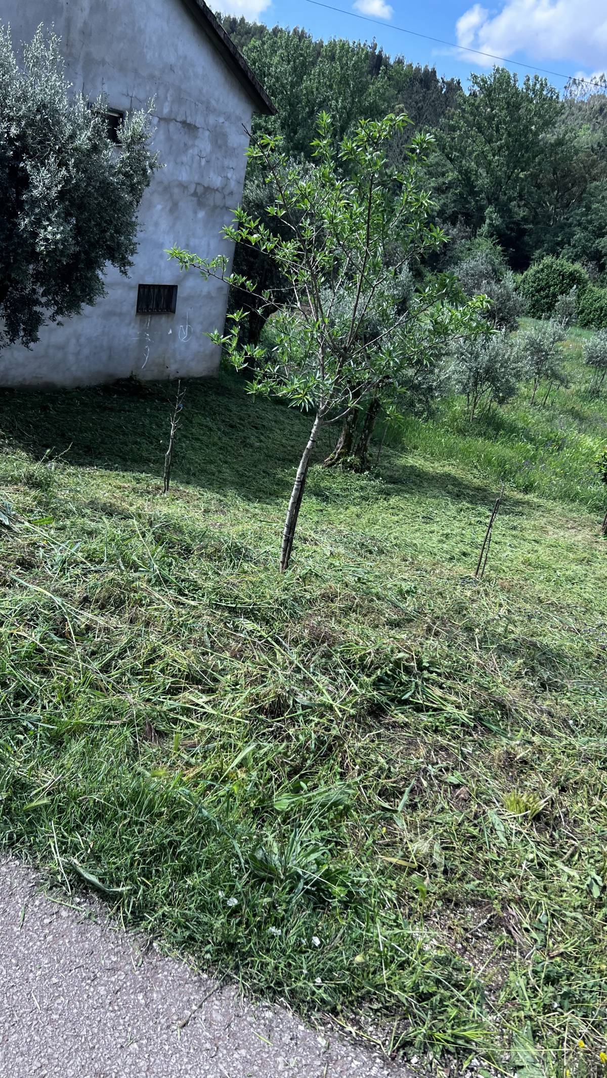 GW serviços técnicos - Alvaiázere - Limpeza de Janelas