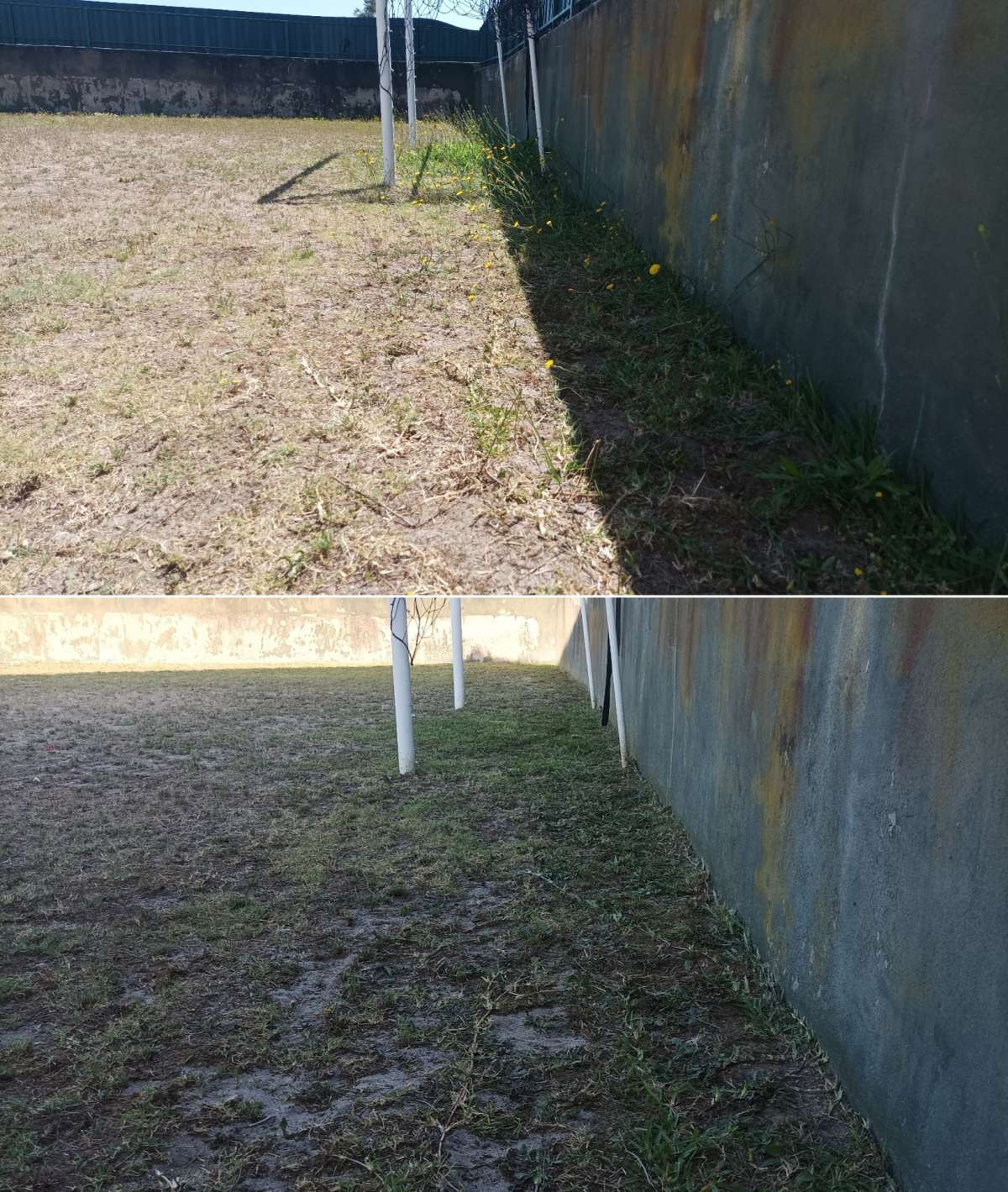 Safira Verde - Marinha Grande - Remoção de Ervas Daninhas