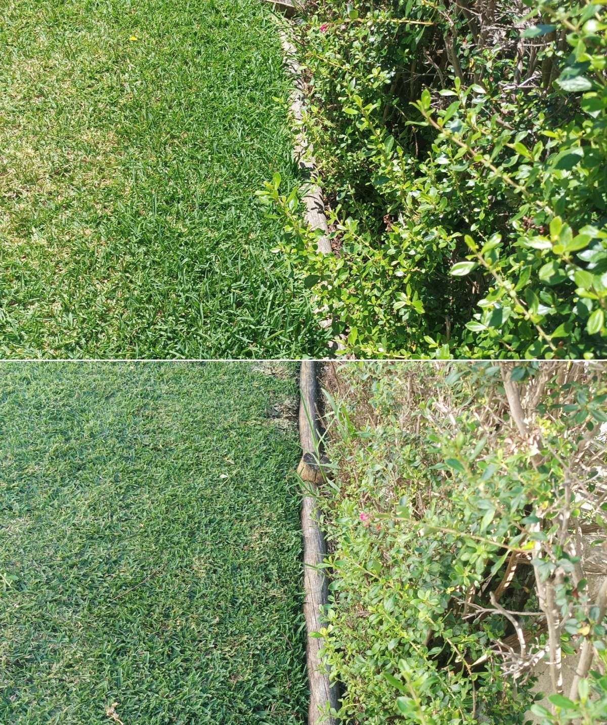 Safira Verde - Marinha Grande - Corte e Aparação de Relvado