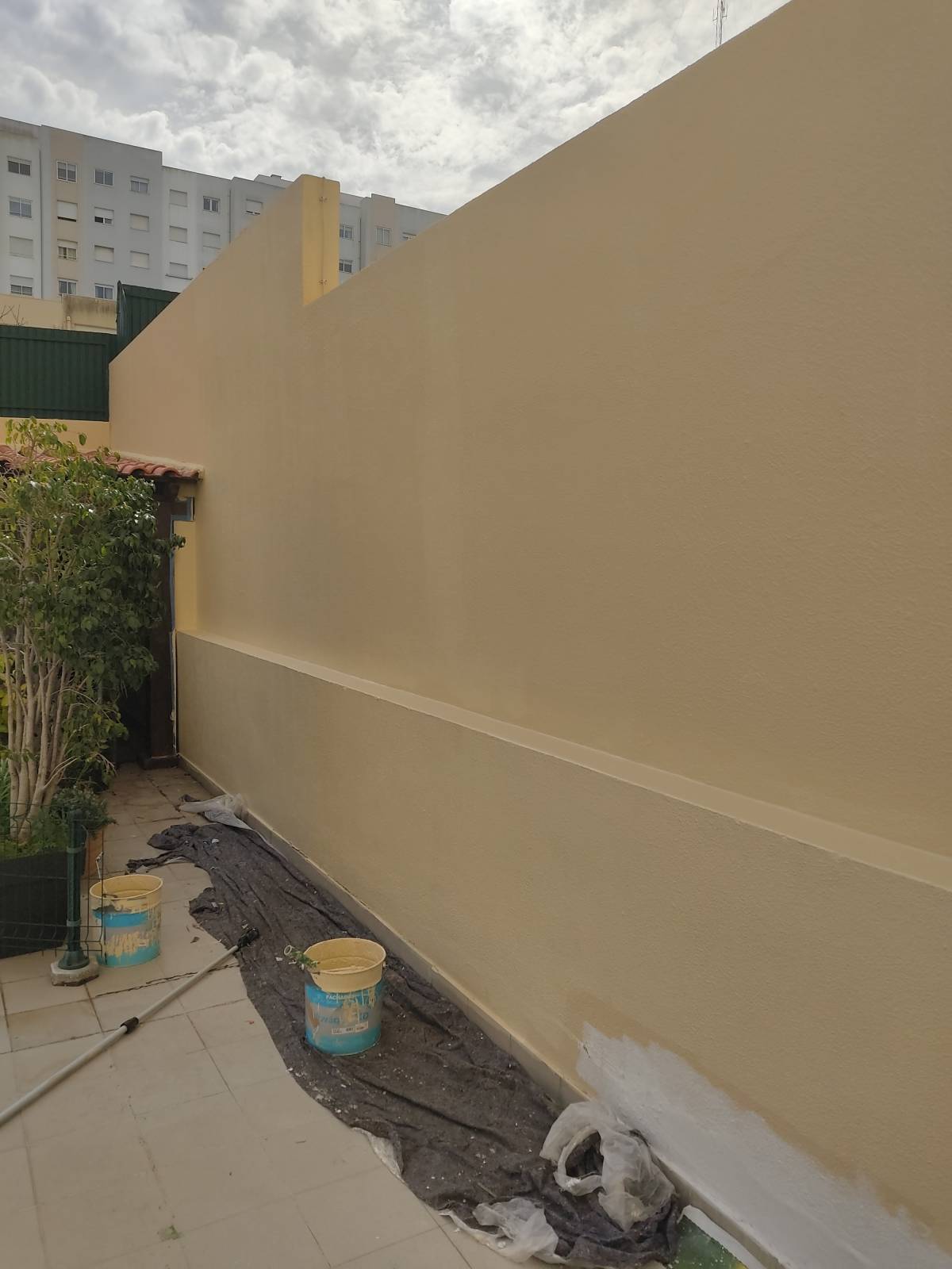 Linhares - Almada - Shrub Removal