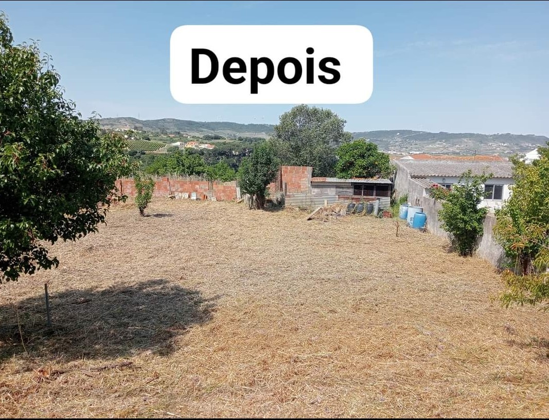Os Castores - Arruda dos Vinhos - Gardening