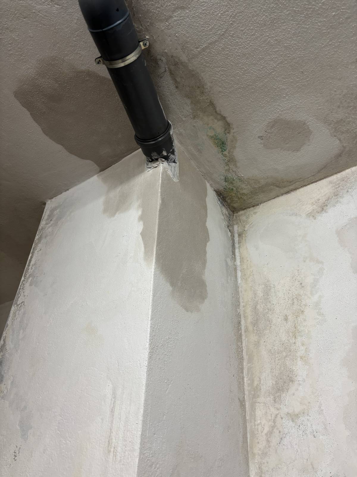 Vidal - Matosinhos - Möbel reparieren