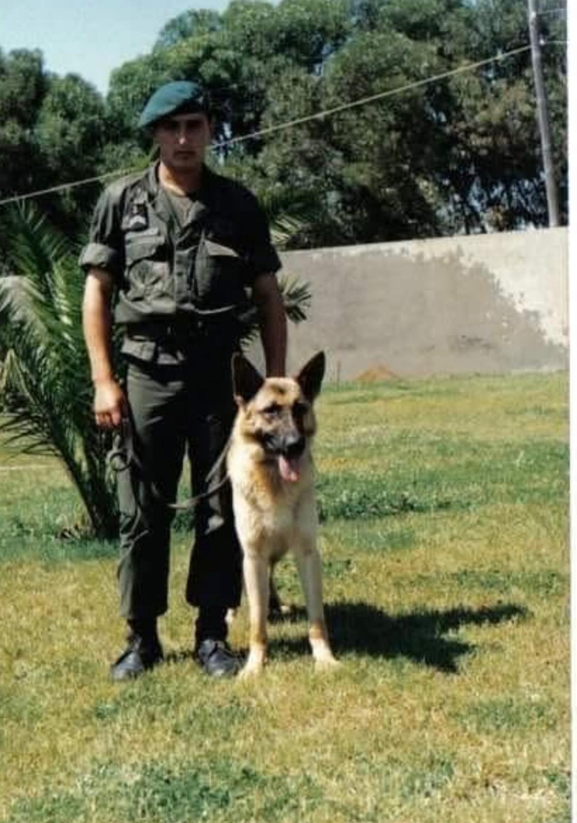 Couto - Marco de Canaveses - Animal Training and Behavior Modification (Non-canine)