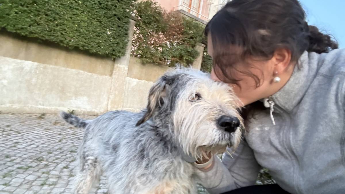 Beatriz Pereira - Lisboa - Garde de chiens