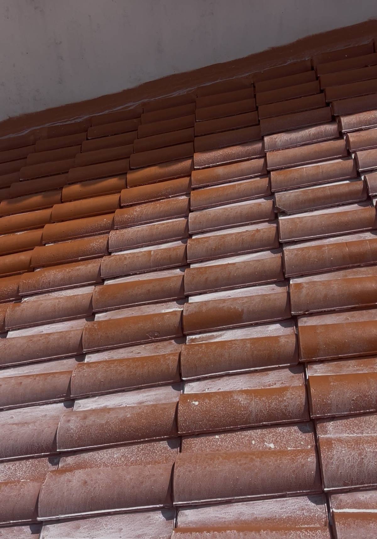 NovaCor - Sobral de Monte Agraço - Reparación de suelos de madera o reemplazo parcial