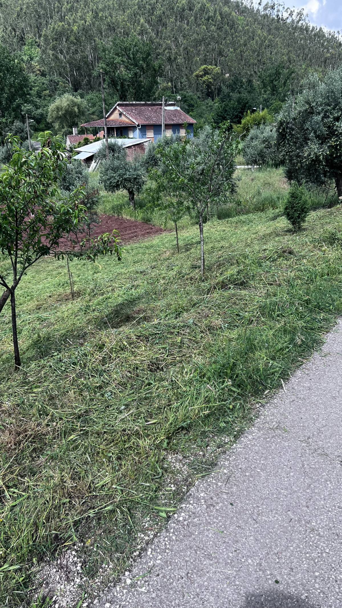GW serviços técnicos - Alvaiázere - Limpeza da Casa (Recorrente)