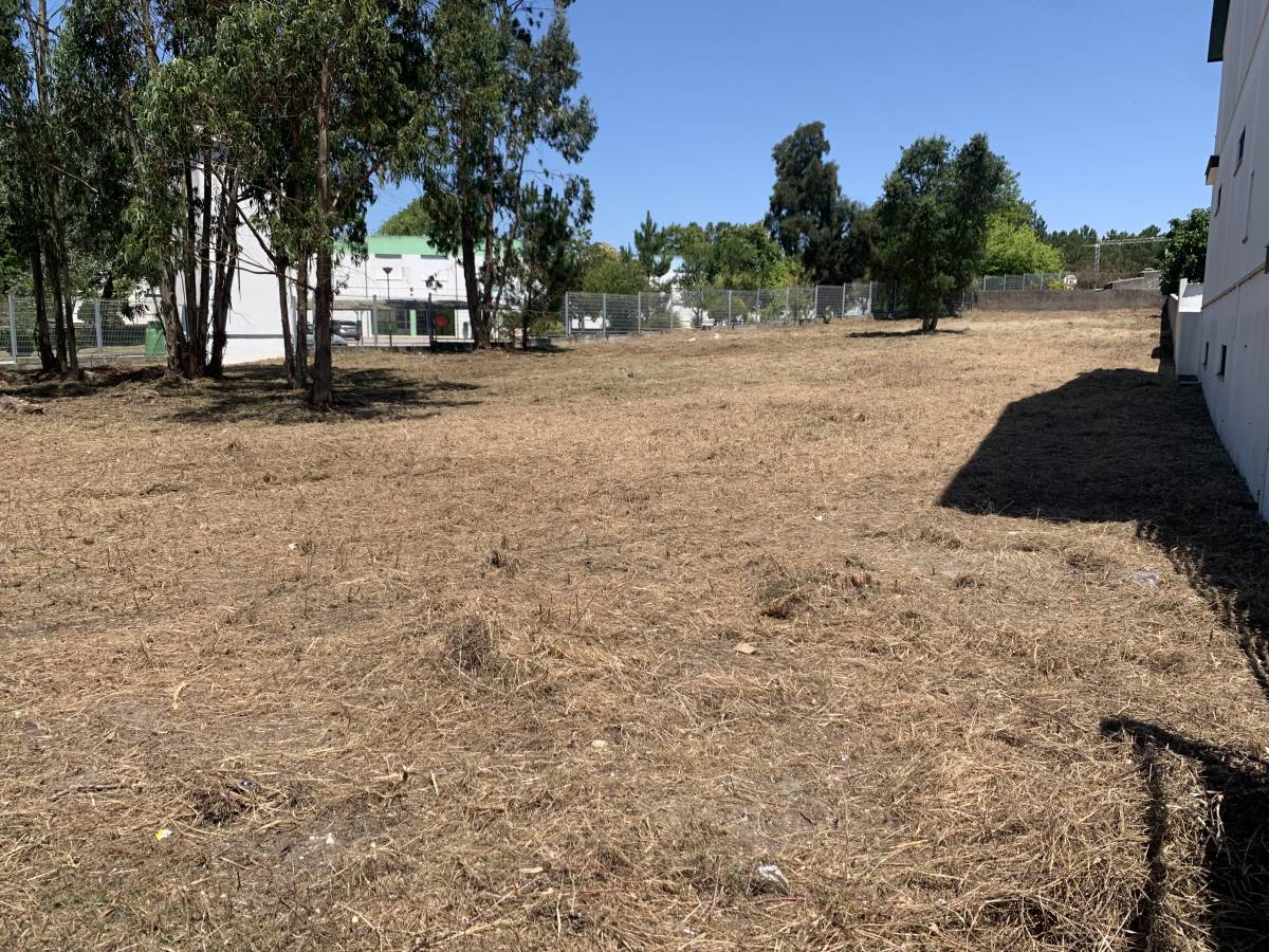 Luís Emanuel Vieira unipessoal Lda - Alcobaça - Shrub Removal