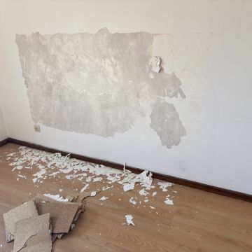 Vidal Fortunato - Matosinhos - Peinture de portes