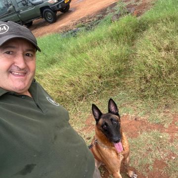 Couto - Marco de Canaveses - Dog Training - Private Lessons
