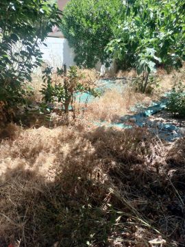 Jardinagem
