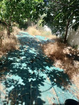 Serviço de Jardinagem