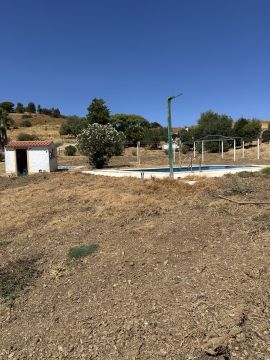 Paisagismo