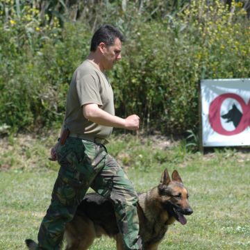 Armando Teixeira - Sintra - Modificação de Comportamento Animal