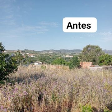 Os Castores - Arruda dos Vinhos - Lawn Mowing and Trimming