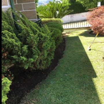 Verde Puro - Jardinagem / Manutenções de Jardins - Matosinhos - Remoção de Arbustos