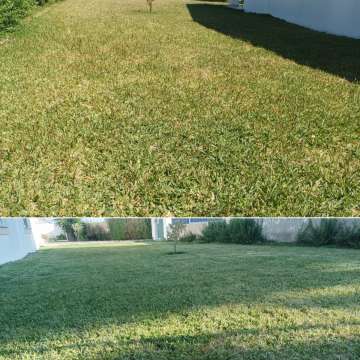 Safira Verde - Marinha Grande - Remoção de Arbustos