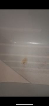 Felipe Justus - São Brás de Alportel - Instalação de Tubos de Canalização