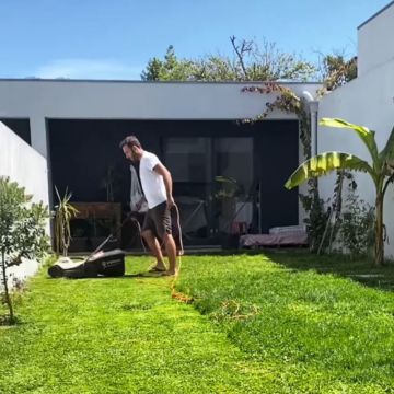 Verde Puro - Jardinagem / Manutenções de Jardins - Matosinhos - Remoção de Tronco de Árvore