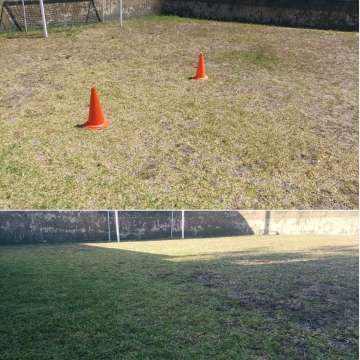 Safira Verde - Marinha Grande - Tratamento de Relvado