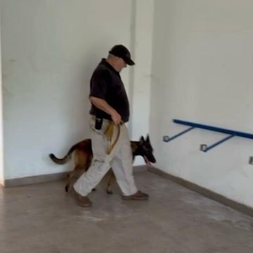 Couto - Marco de Canaveses - Dog Walking
