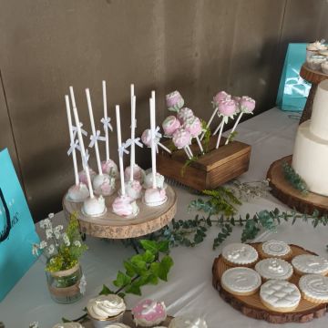 Teresa Teles - Palmela - Wedding MC Services