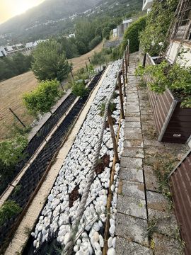 Poda e Manutenção de Árvores - Jardinagem e Relvados