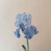 Margarida Gil - Amadora - Travaux manuels et arts plastiques