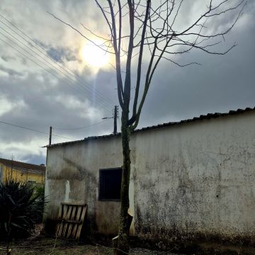 JardimTel - Coruche - Limpieza de primavera