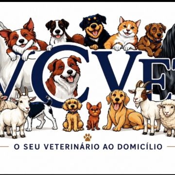 Vc vet - Évora - Tierarzt