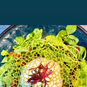 Eliane Medeiros - Lisboa - Catering Service