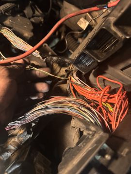 Auto serviço - Lisboa - Traducciones del hebreo