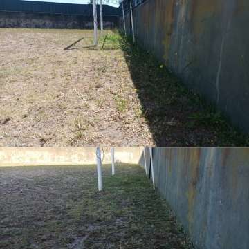 Safira Verde - Marinha Grande - Remoção de Ervas Daninhas